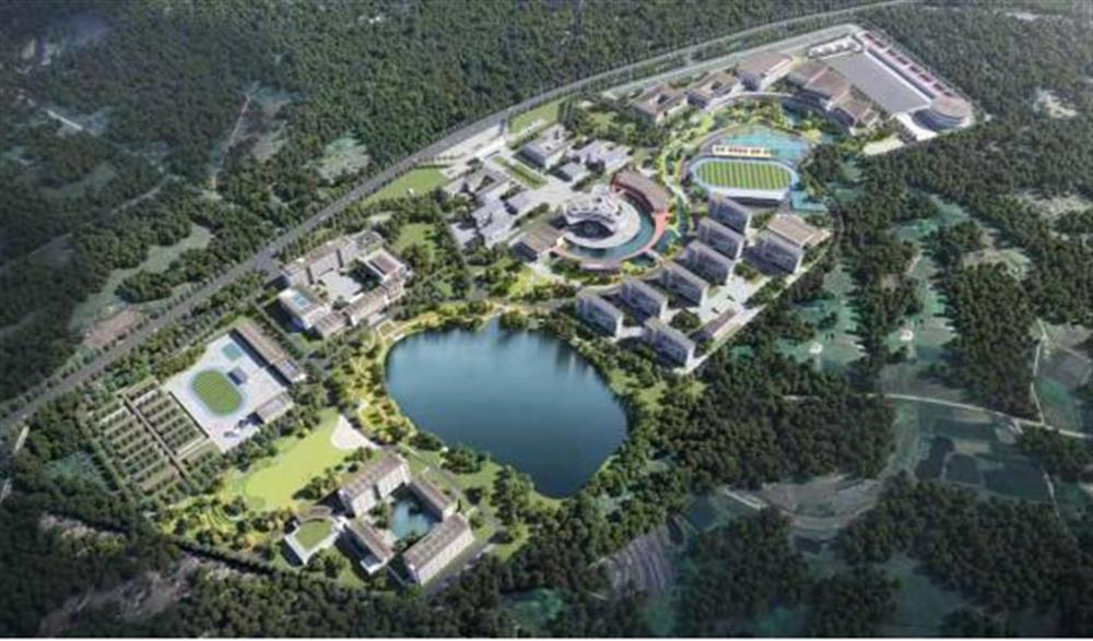 奮進正當時 | 濟南市工程咨詢院：專業(yè)智庫顯身手，服務發(fā)展勇爭先